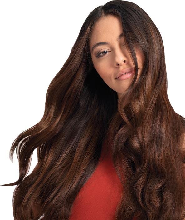 Wella szkolenia